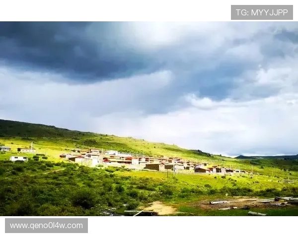 追风高原草色无边少年纵马逐梦豪情天地共抒胸怀